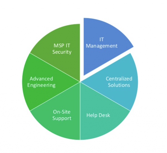 MSP Services from Community IT graphic